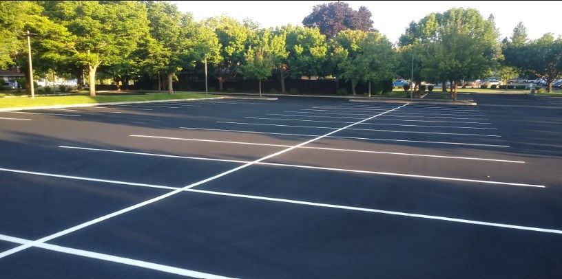 A parking lot with white lines and trees in the background