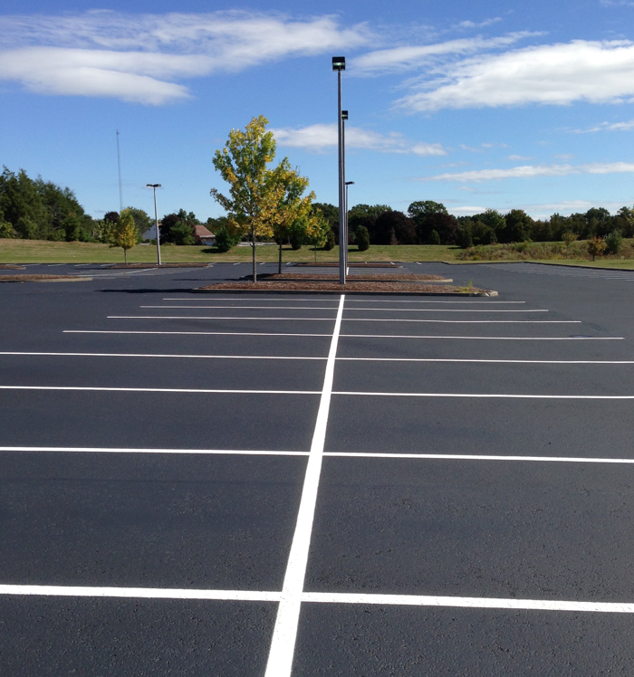 A parking lot with white lines and a tree in the background