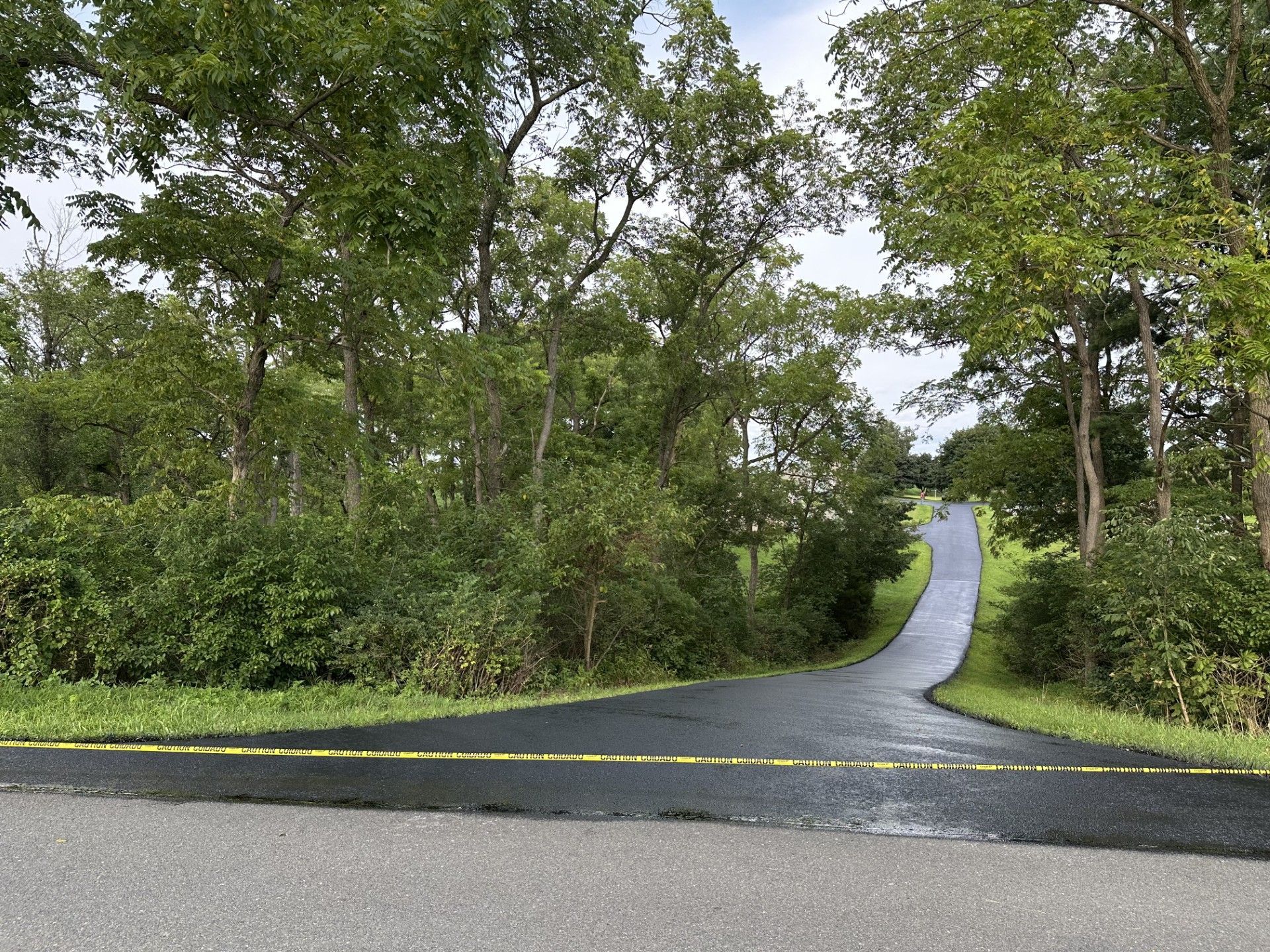 Wet paved road through dense green trees under an overcast sky