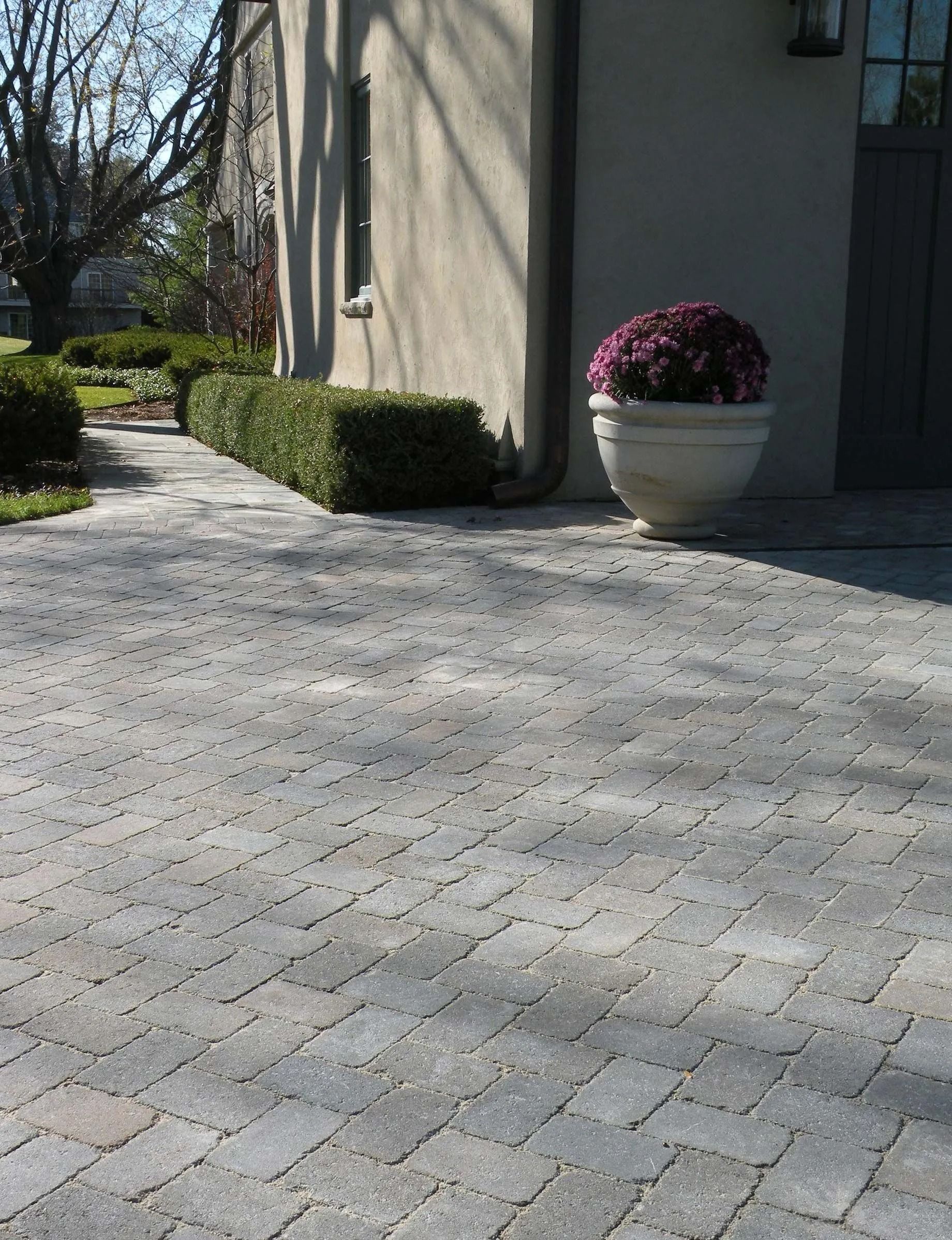 A stone paved driveway leads to the side of a building with a trimmed hedge and a large planter containing purple flowers.