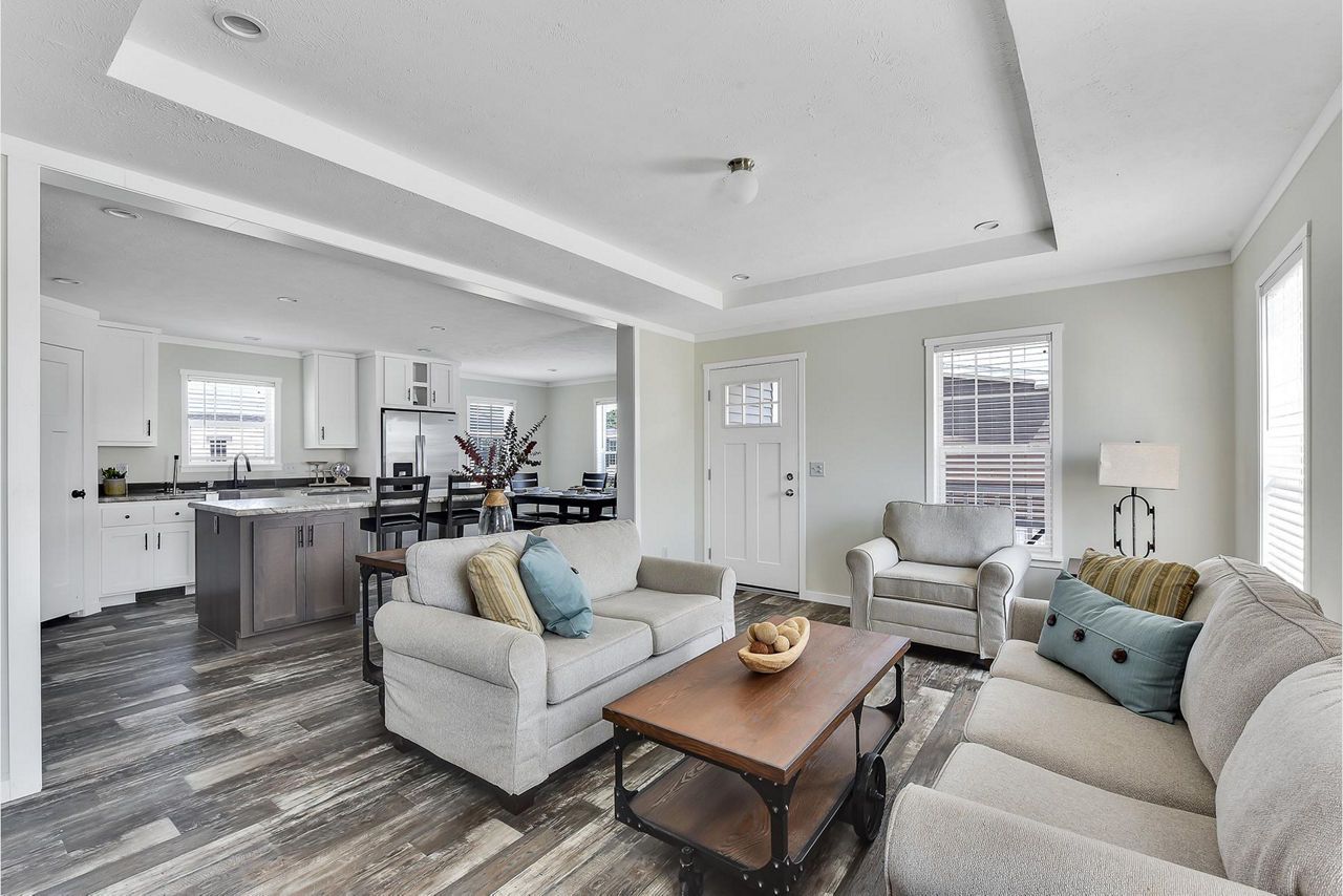living room and kitchen of the Catena model