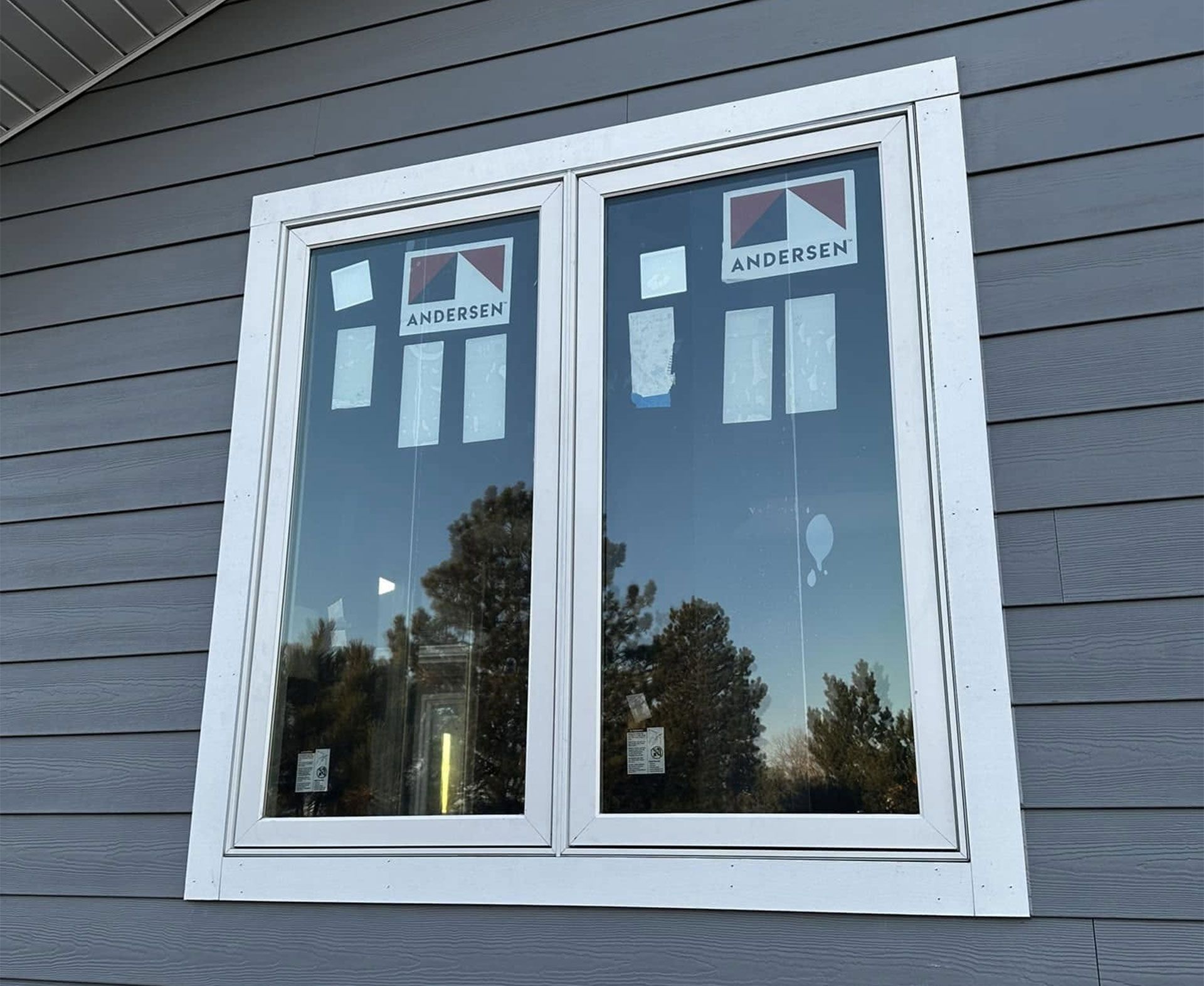 White-framed double window in a gray-sided building. Reflection of trees and sky visible.