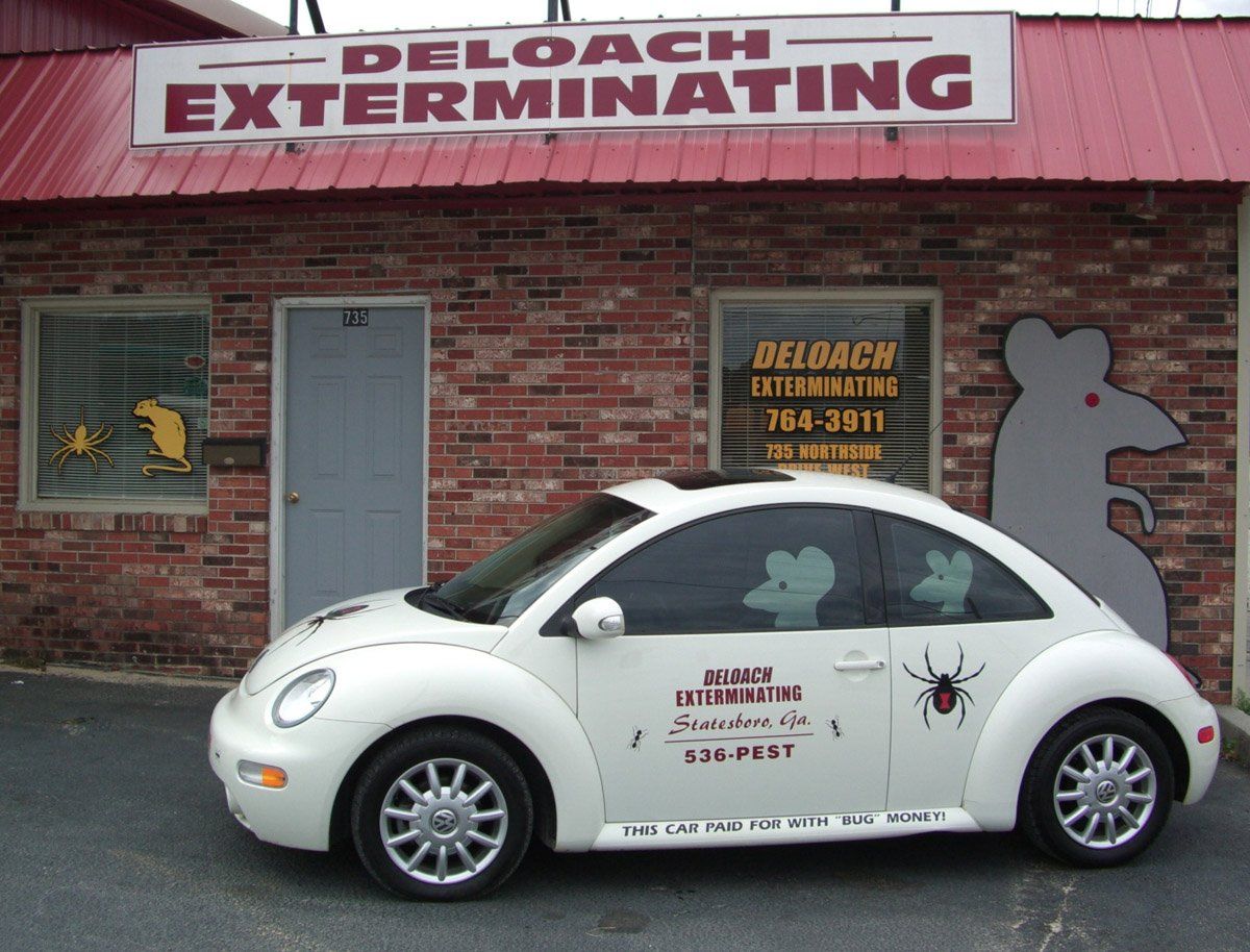 A room with a dirty floor and bugs