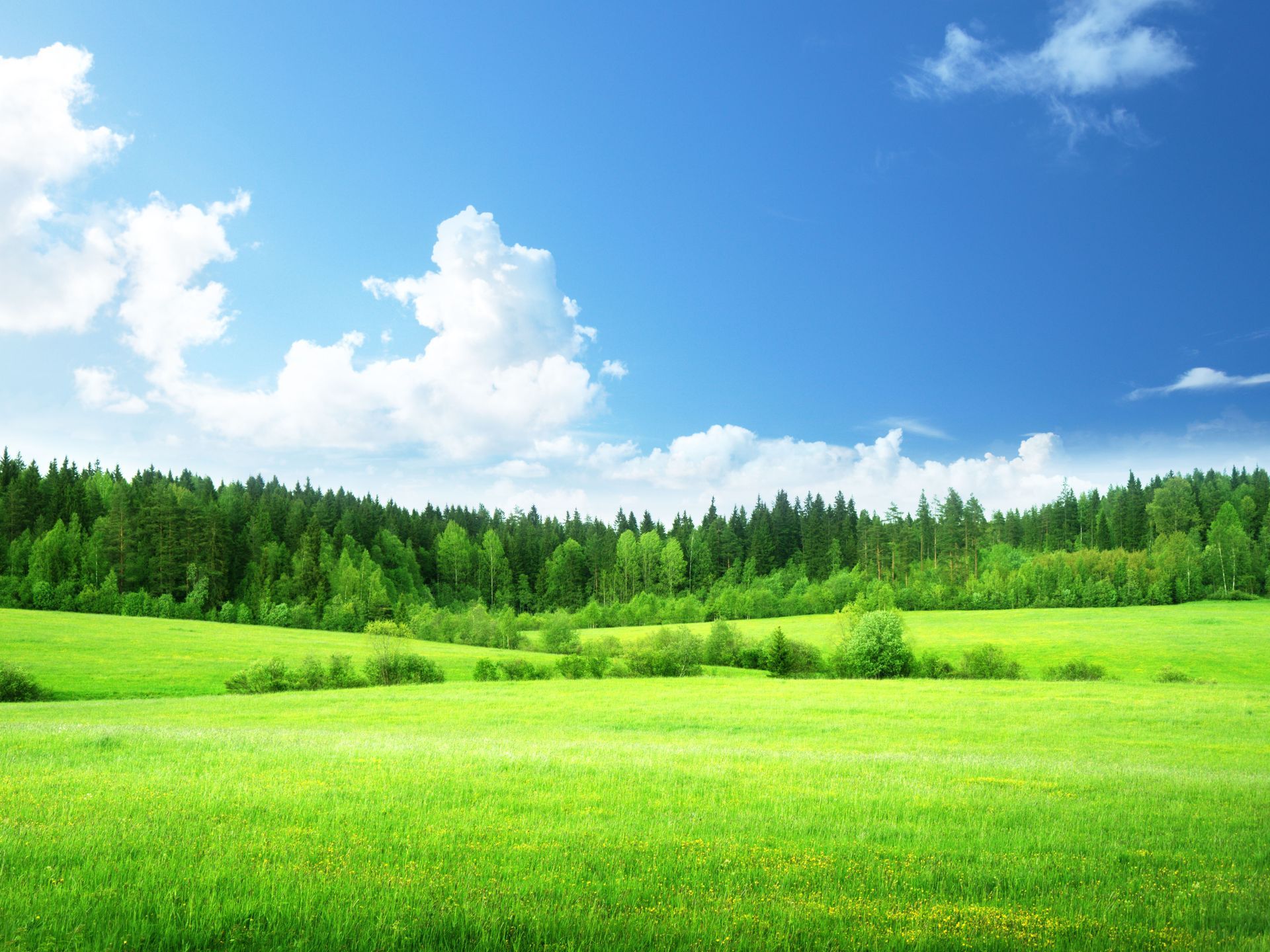 vacant land appraisals 
