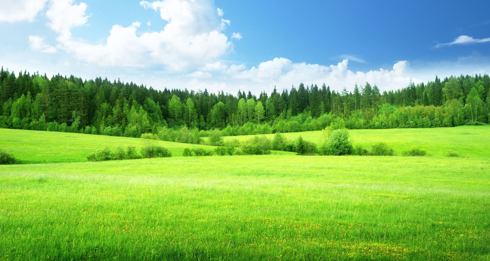 Vacant Land Appraisals