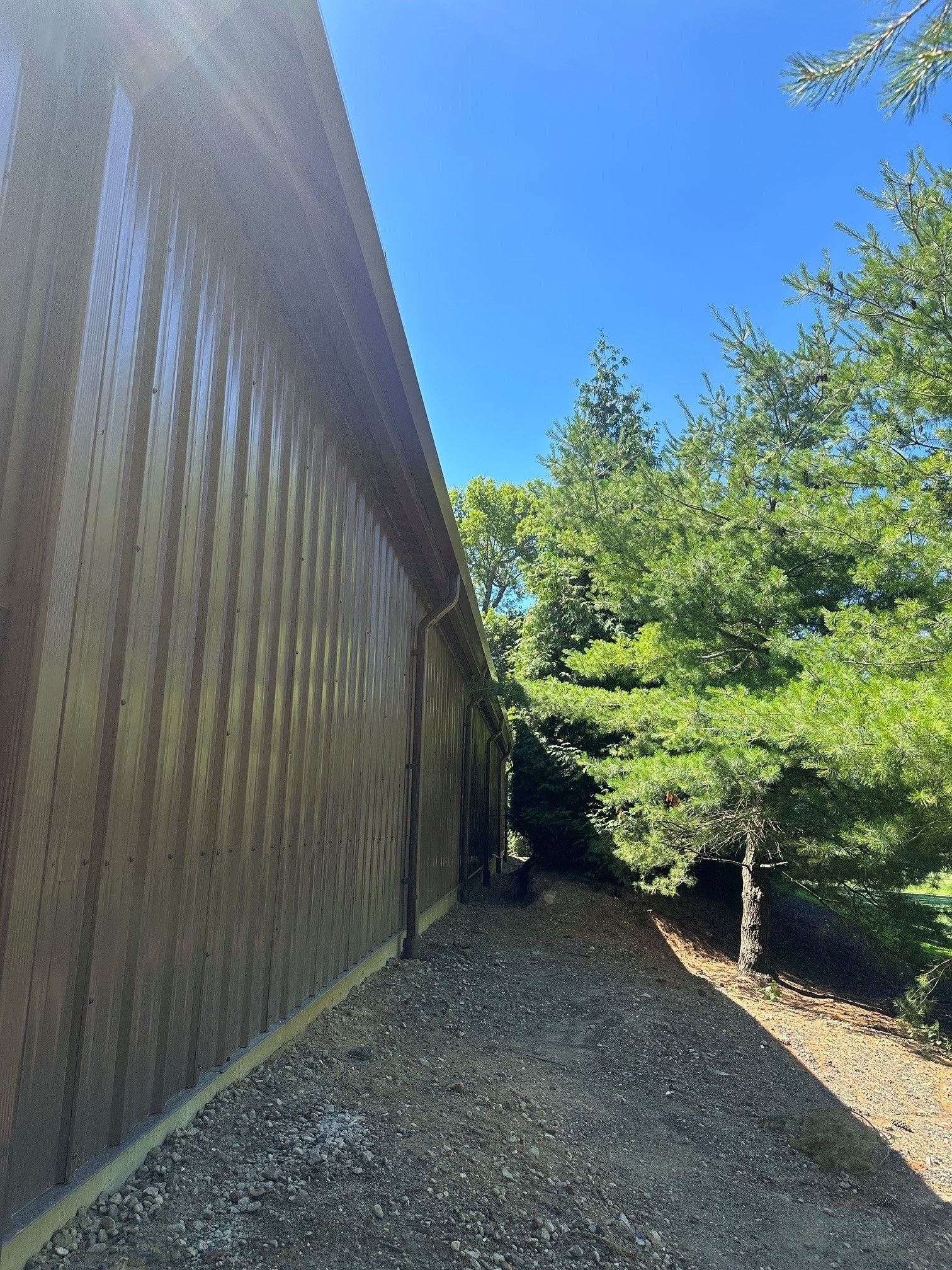 Gravel path beside a tall wooden wall, bordered by green trees under a bright blue sky.