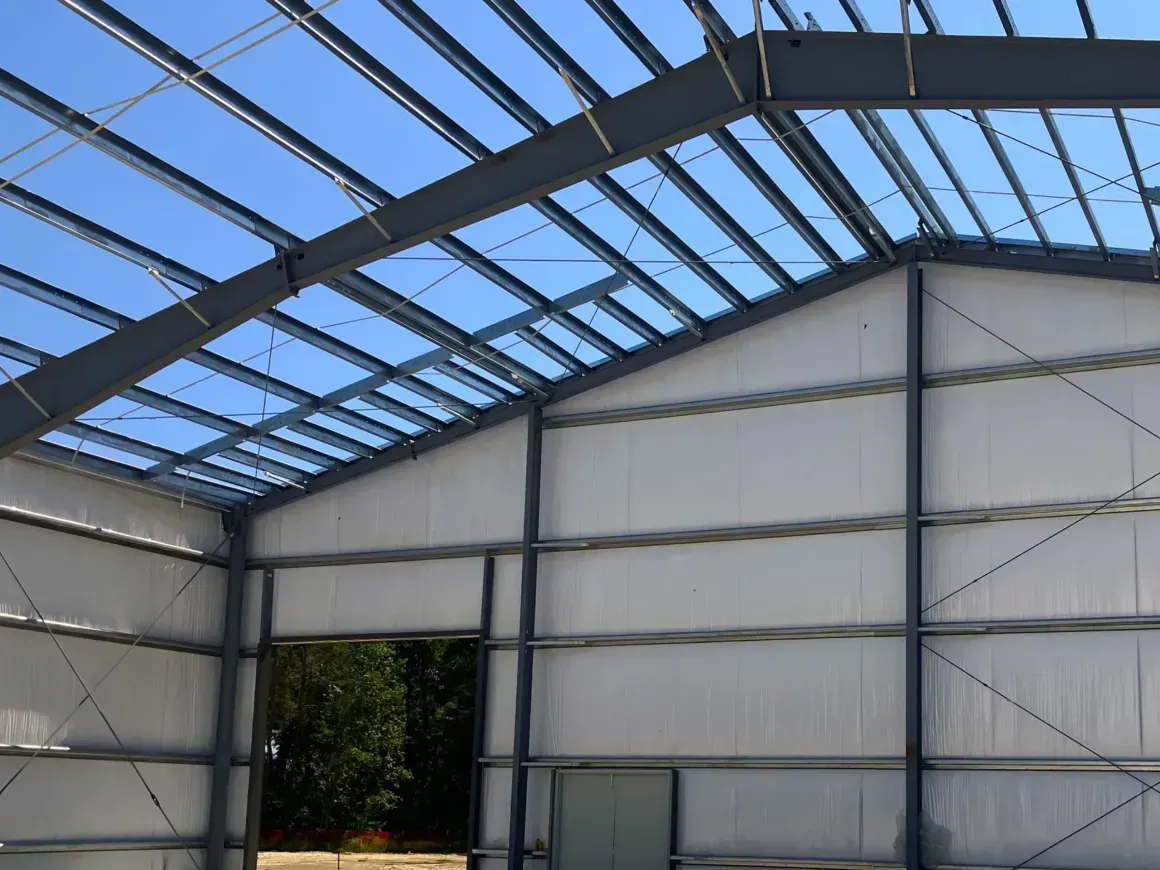 Interior of a white metal-framed greenhouse with a translucent roof and open doorway, showing trees outside