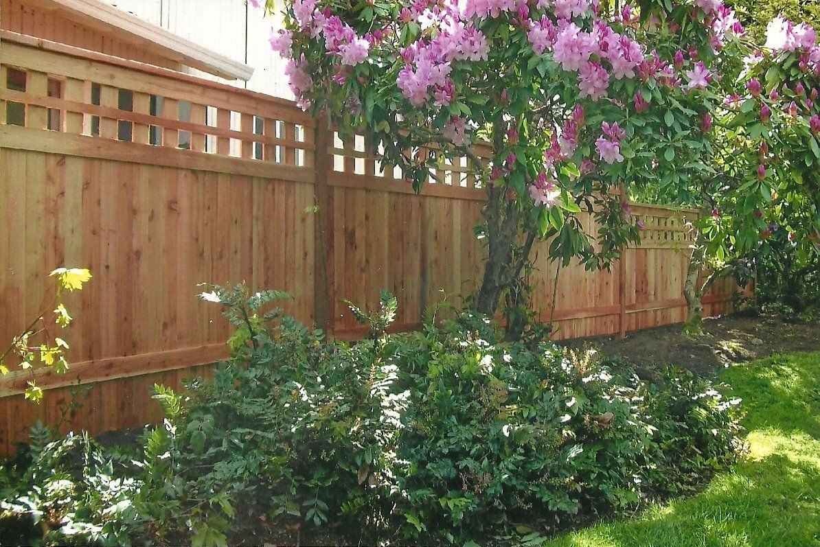 Modern wood fence