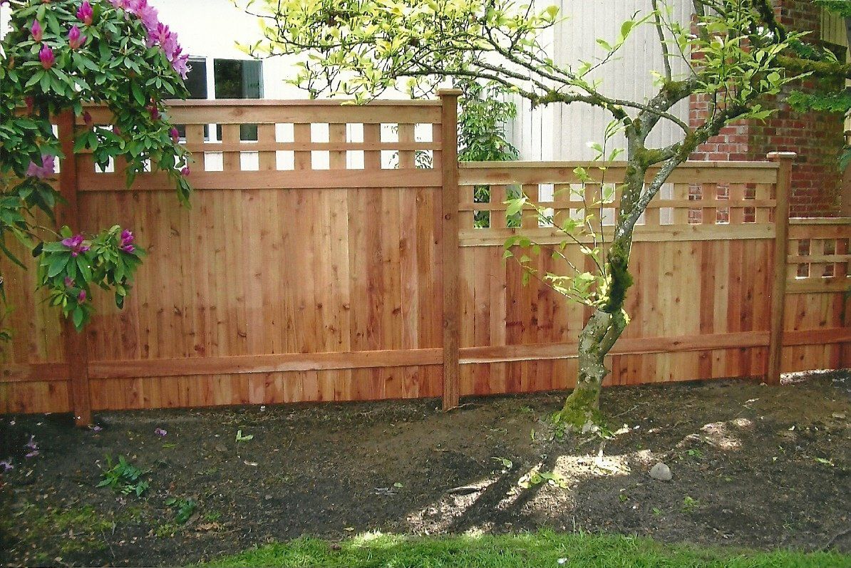 Cedar wood fence