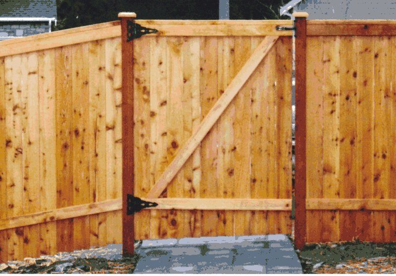 Cedar fence