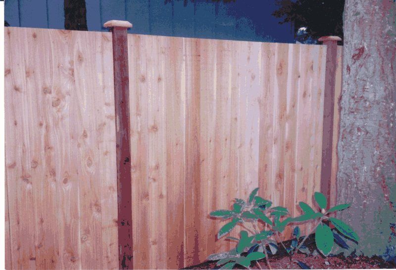 Beautiful wood fence