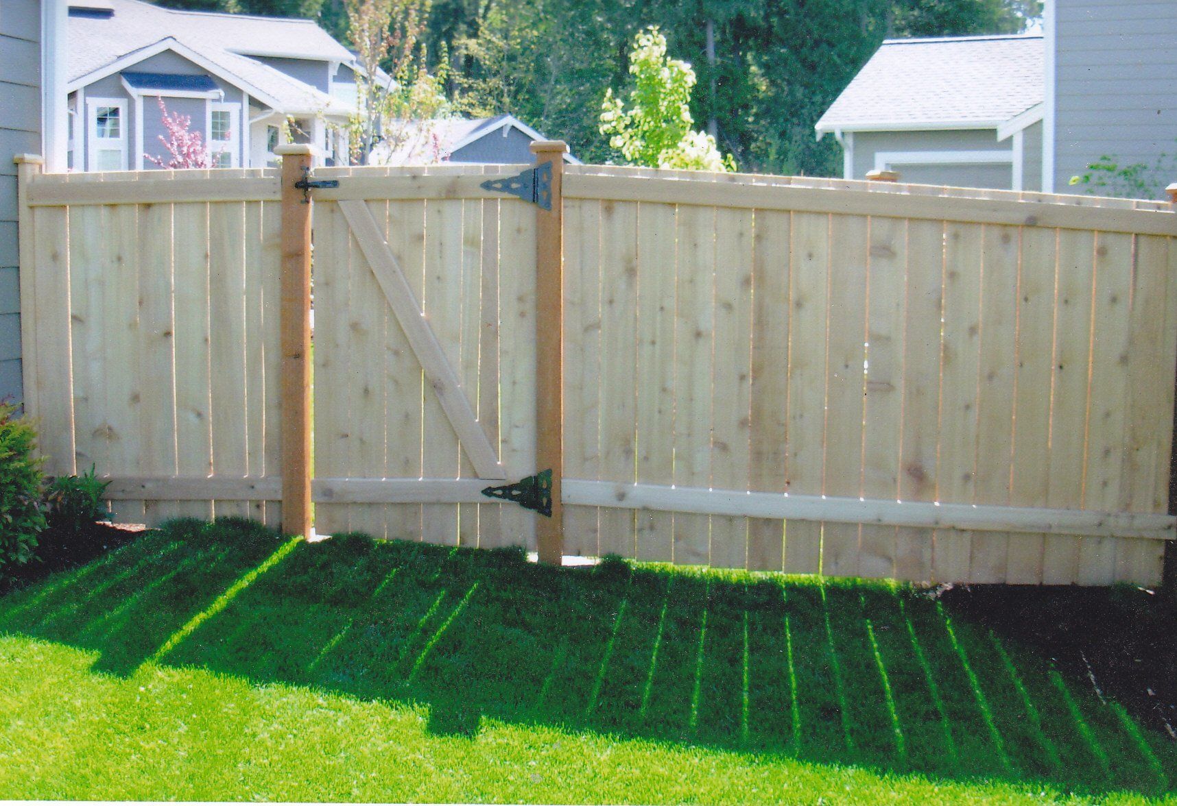 Cedar wood fence