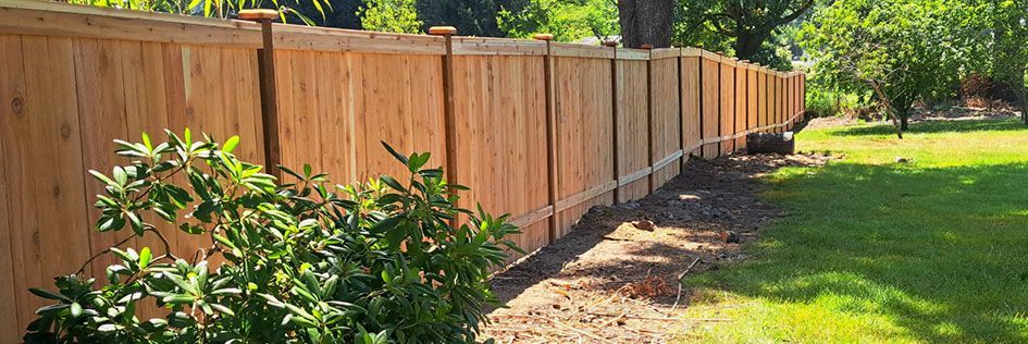 Wooden privacy fence beside a grassy yard with shrubs and trees along the border