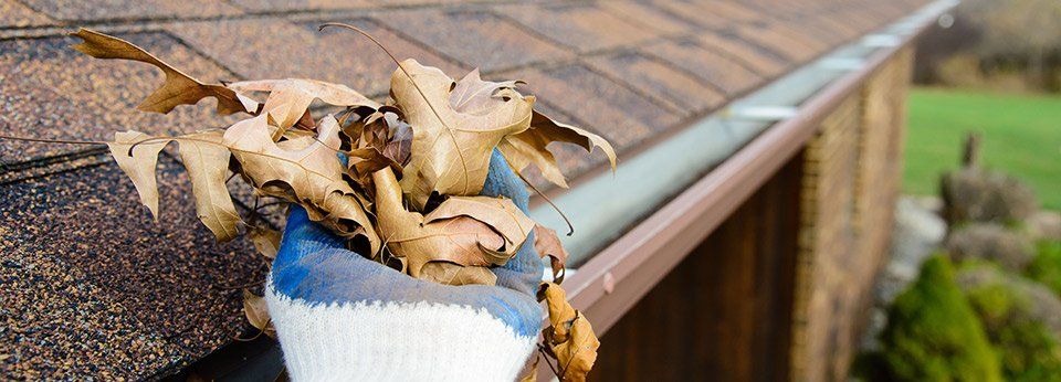 Gutter cleaning