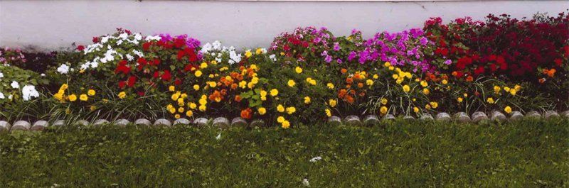 Lawn care