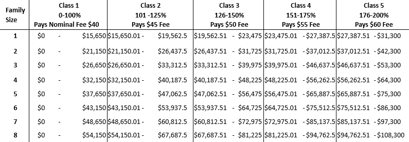 Table of class size ranges with percentages by family type.
