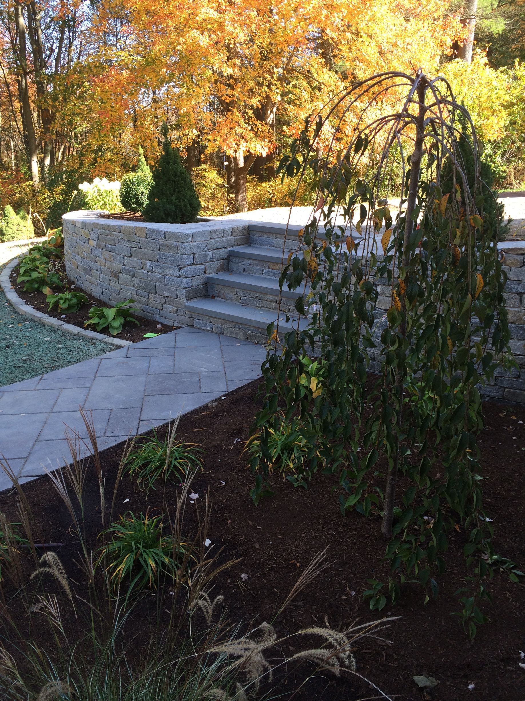 Curved stone garden wall with steps beside a paved path, surrounded by autumn foliage.