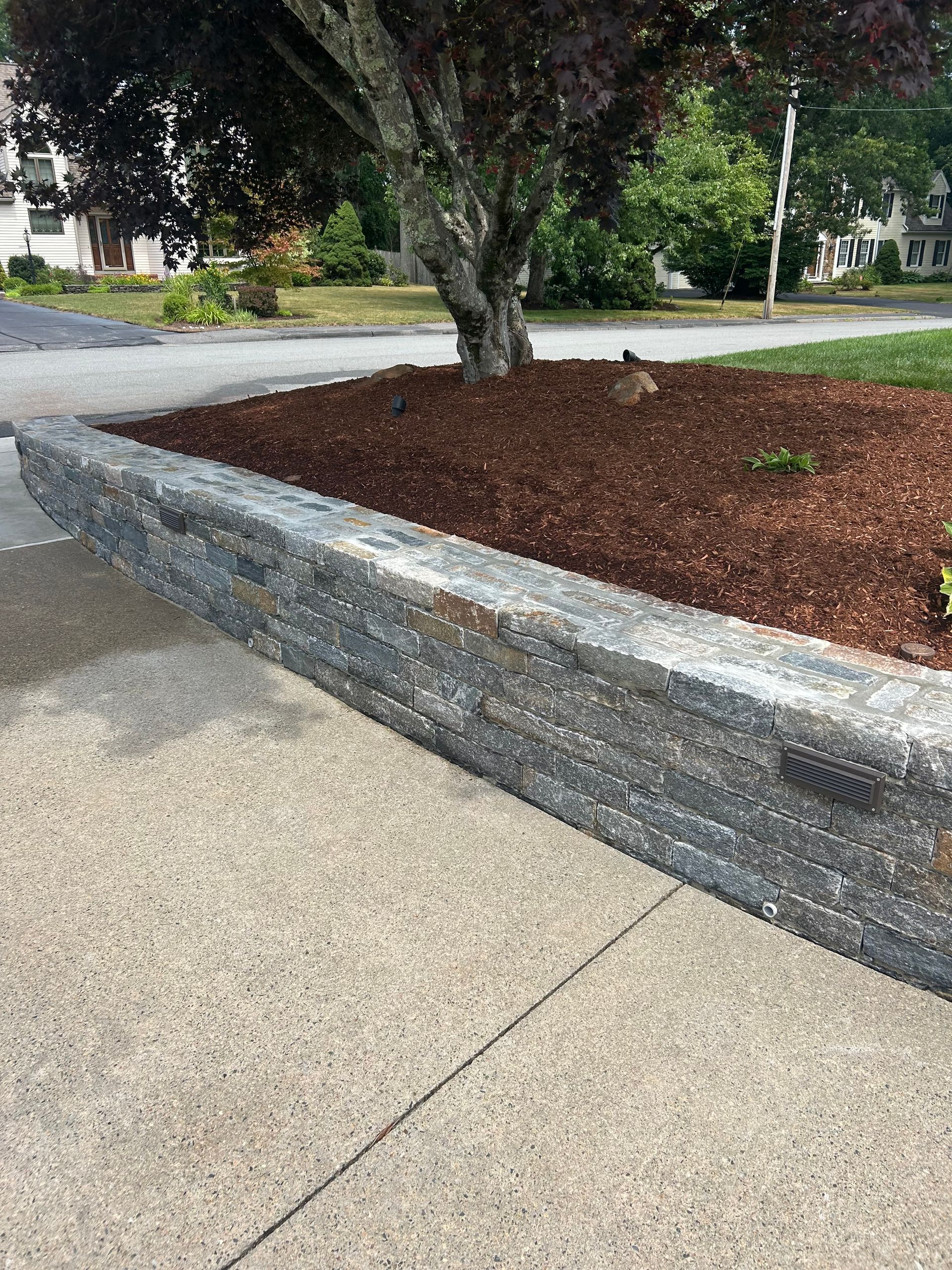 Mulched tree bed beside a sidewalk and street, bordered by a low gray retaining wall