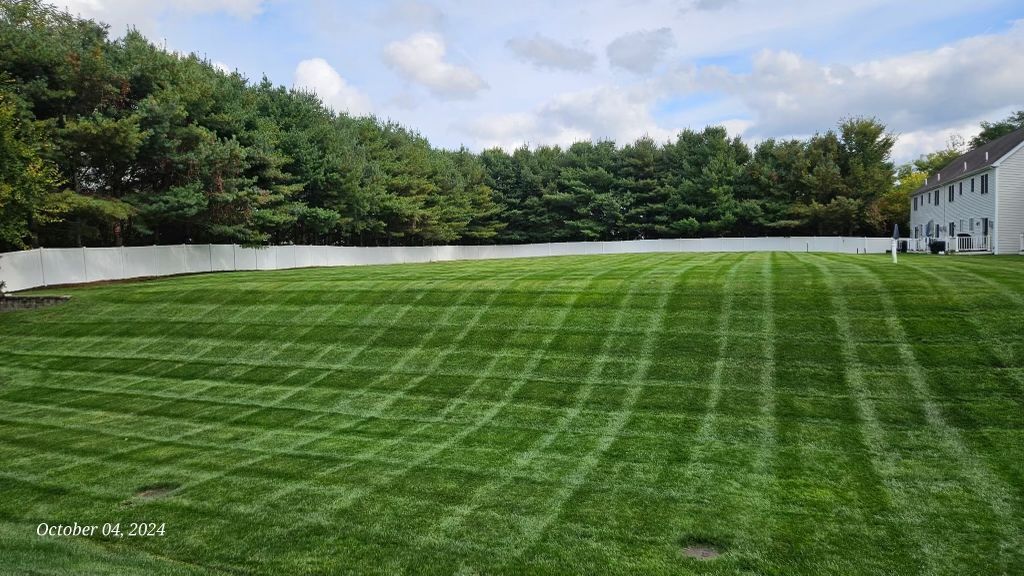 Wide green lawn with striped mowing lines, bordered by trees and a white building under a cloudy sky.
