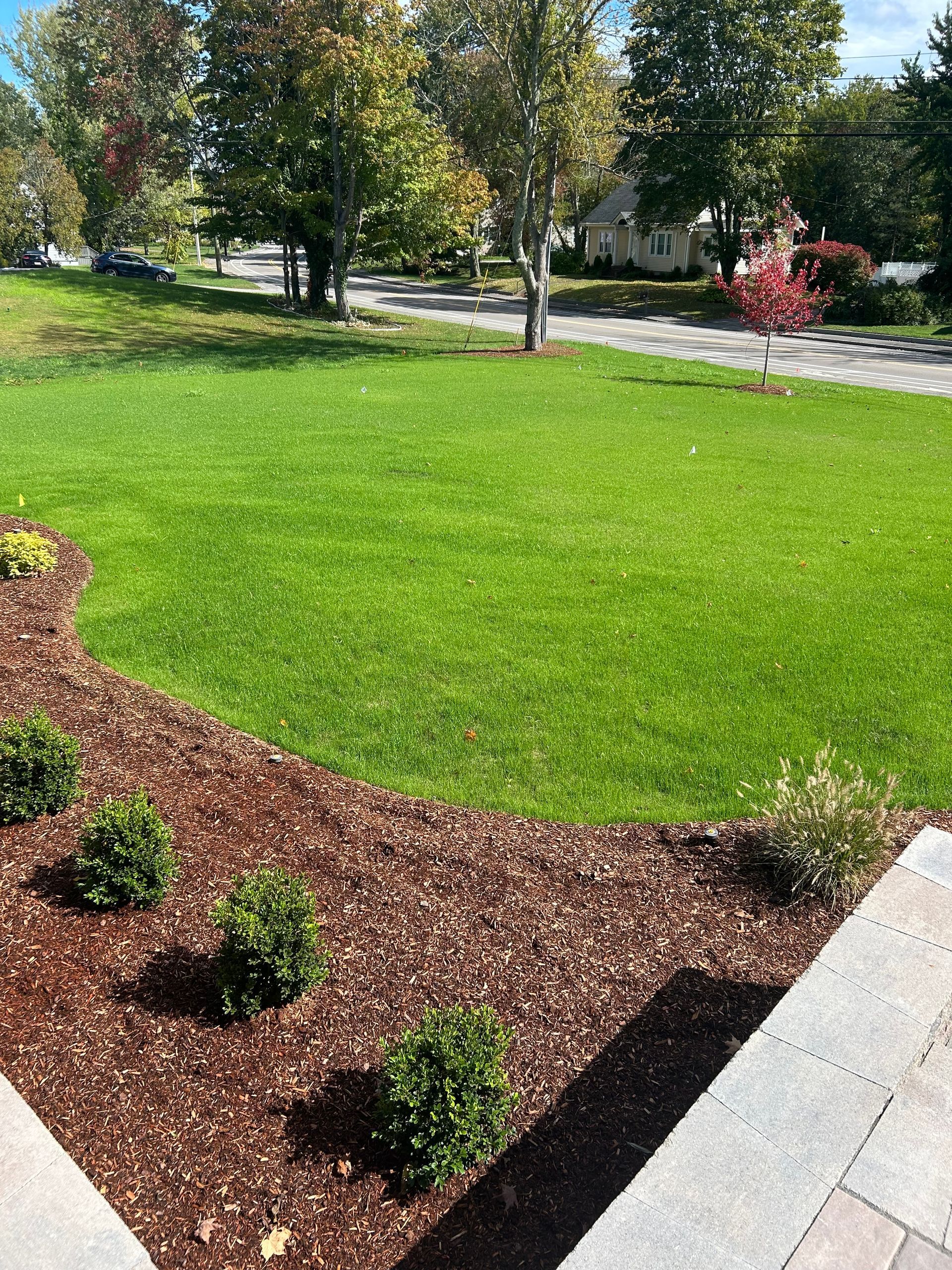 Mid-Summer Landscaping Rescue: Professional Tips for Handling Heat