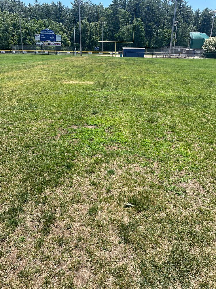 Grassy field with a scoreboard, trees, and a blue box in the distance on a sunny day