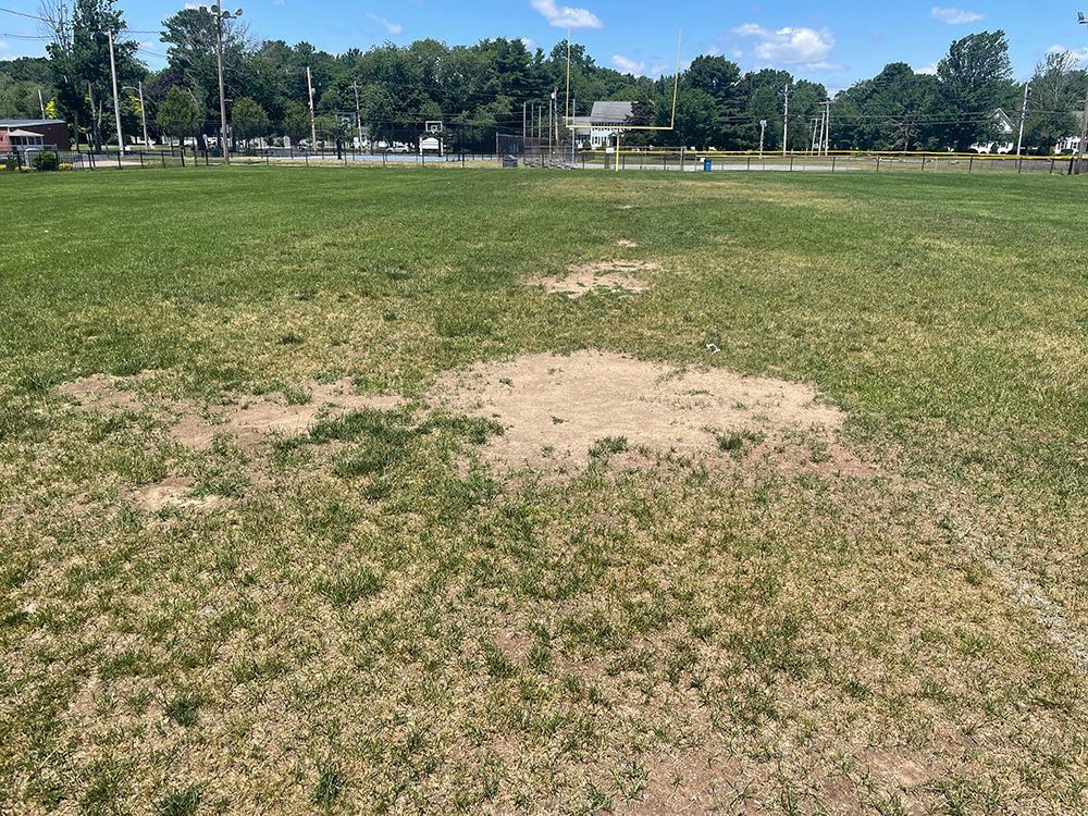 Green field with a large patch of bare dirt, playground and trees in the background on a sunny day
