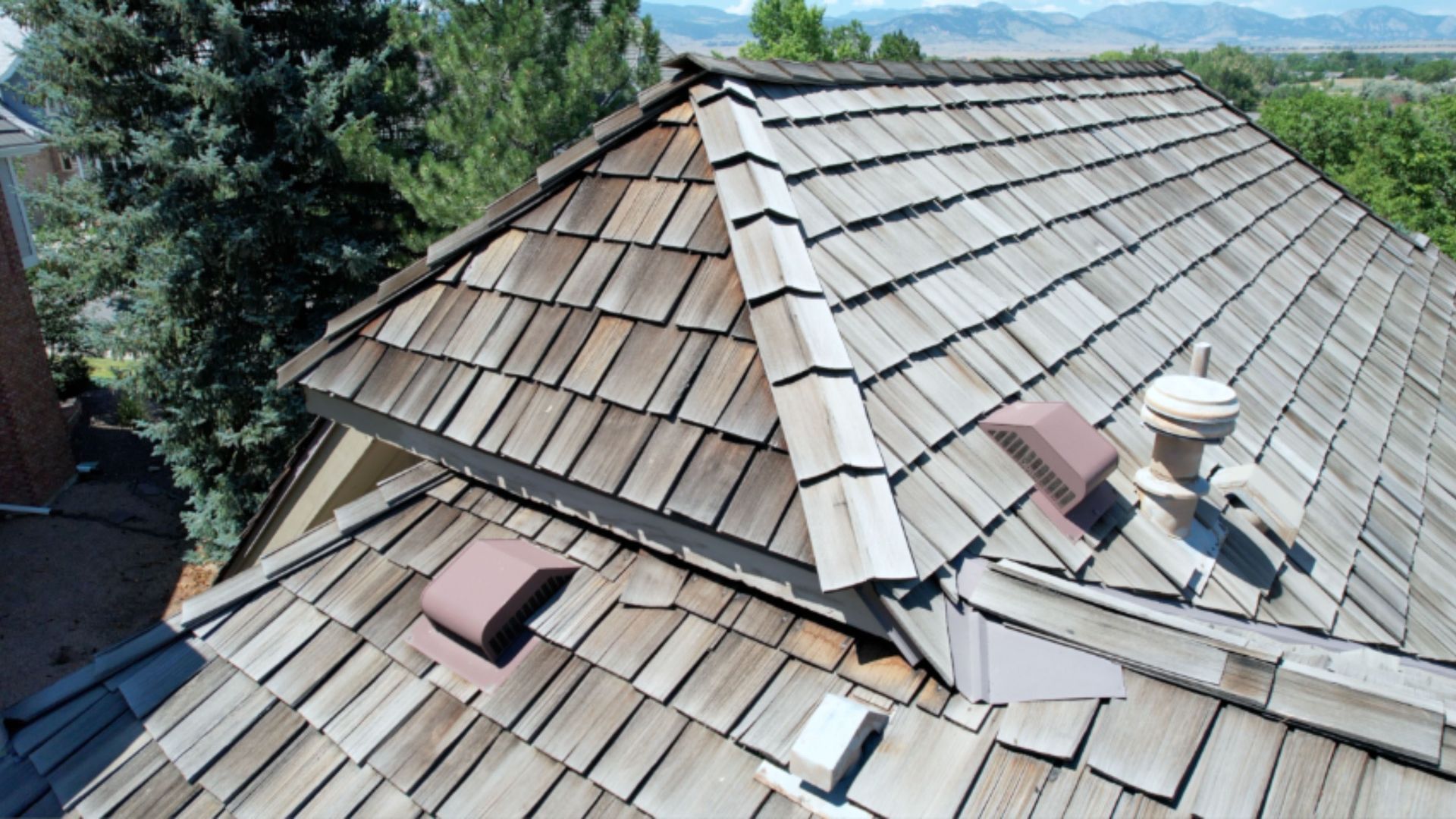 Weathered brown shingle roof with a central ridge and nearby vent pipes, seen against trees and sky