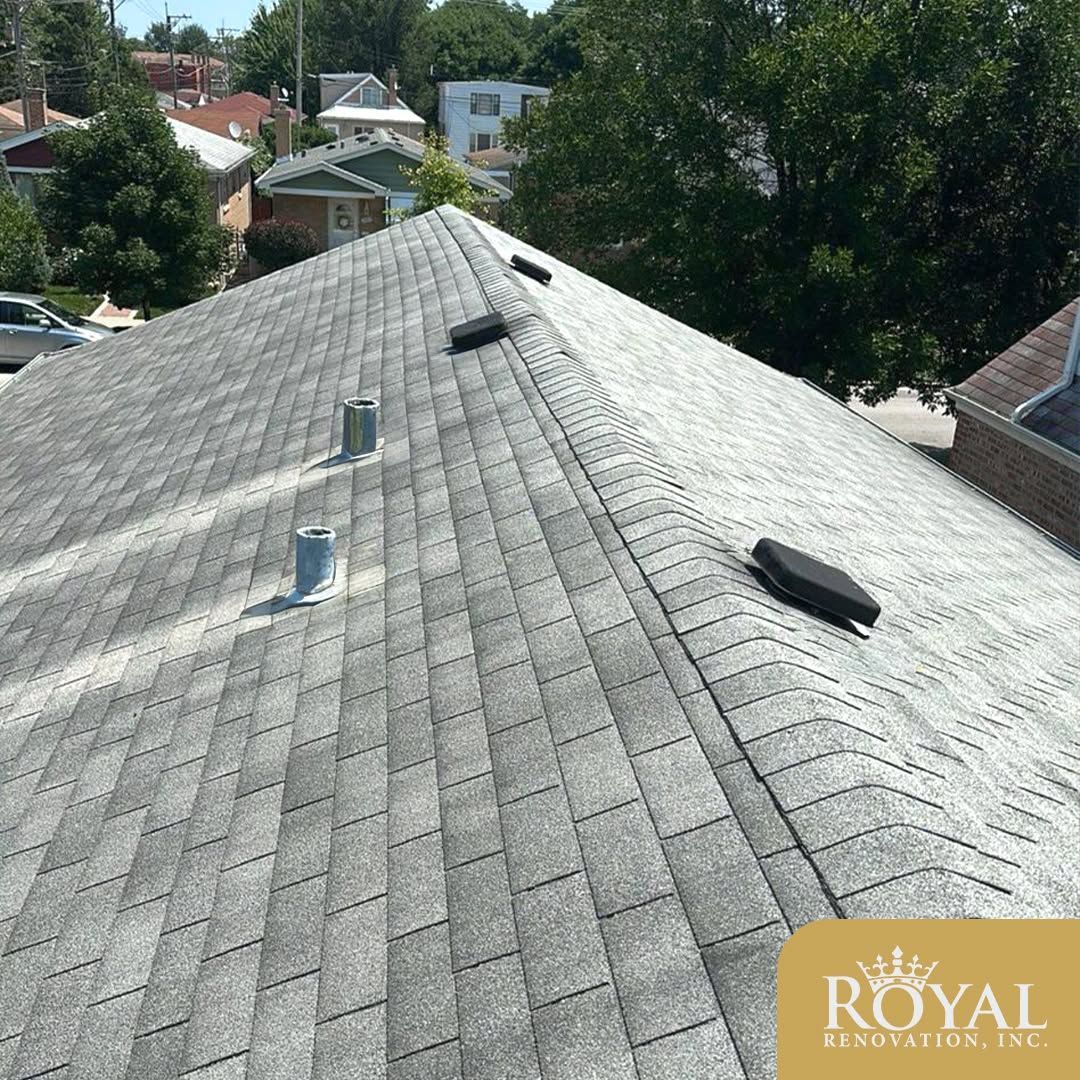 Rooftop with gray shingles and several skylights, viewed from above with trees and houses in the background