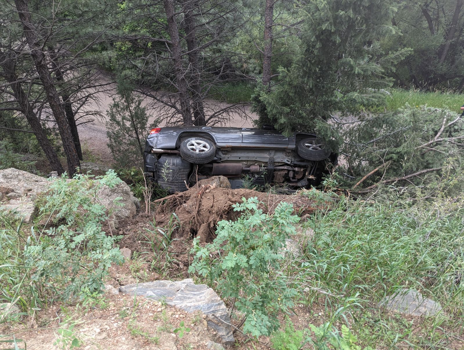 A car is on its side in the woods.