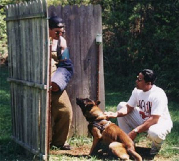 A man wearing a shirt that says j.c.u. is petting a dog
