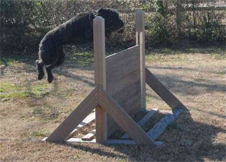 A black dog is jumping over a wooden obstacle