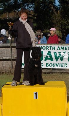 A woman standing next to a black dog on a yellow podium with the number 1 on it