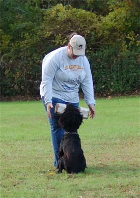 A man is playing with a black dog in a field.