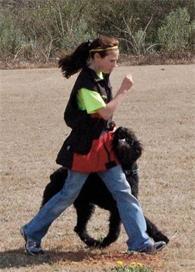 A woman is walking a black dog in a field
