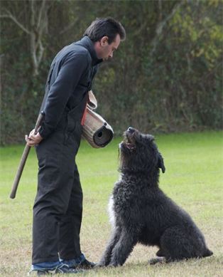 A man is training a dog with a stick