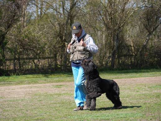 A man is standing next to a large black dog in a field.