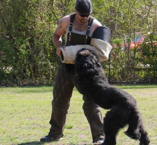 A man is playing with a large black dog