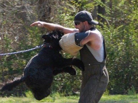 A man is playing with a black dog in a field.