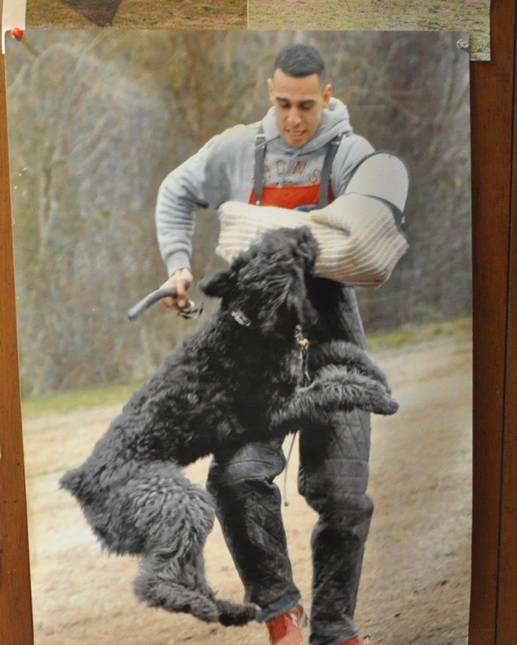 A man is holding a large black dog in his arms