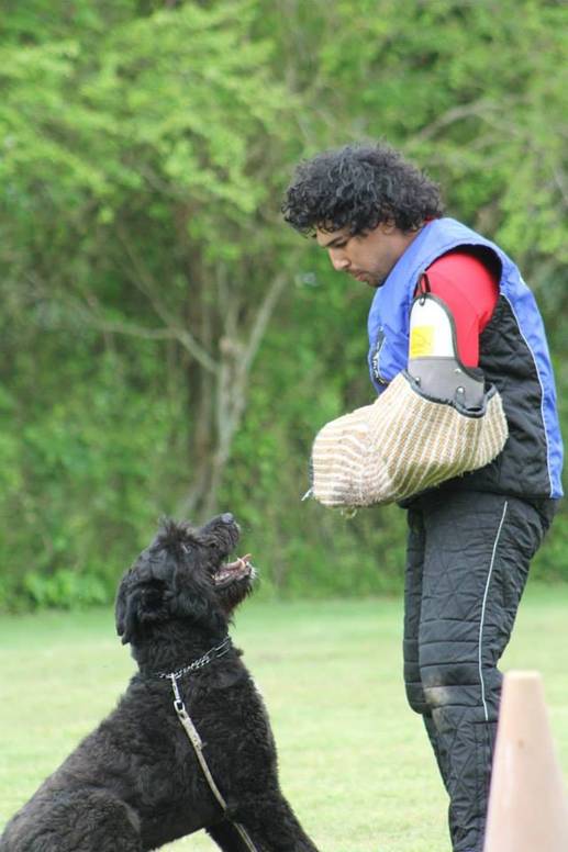 A man is playing with a black dog in a field.