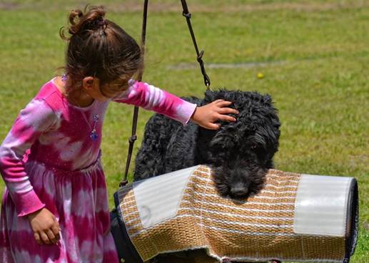 A little girl in a pink dress is petting a black dog.