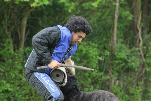 A man is holding a stick in his mouth while a dog bites him.