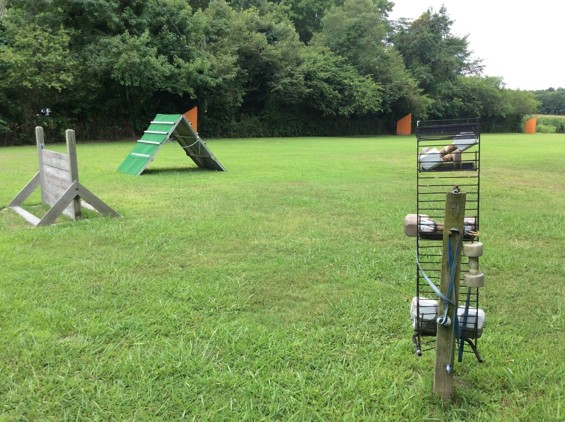 A lush green field with a ladder and a ramp in the middle of it.