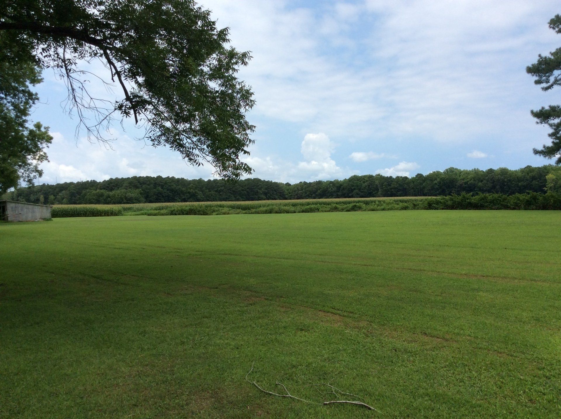 A large grassy field with trees in the background