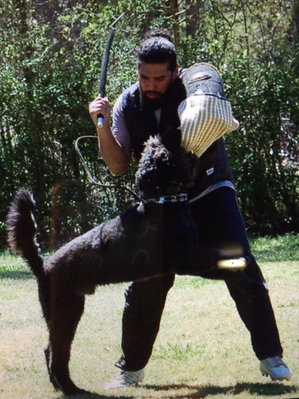 A man is playing with a large black dog