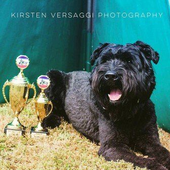 Dog with trophies