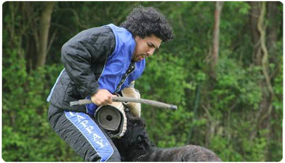 A man in a blue jacket is attacking a dog with a stick.