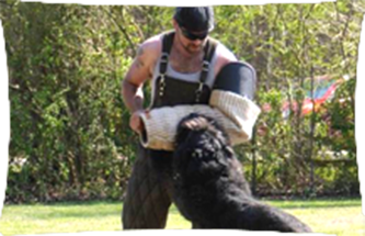 A man is playing with a black dog in a field.