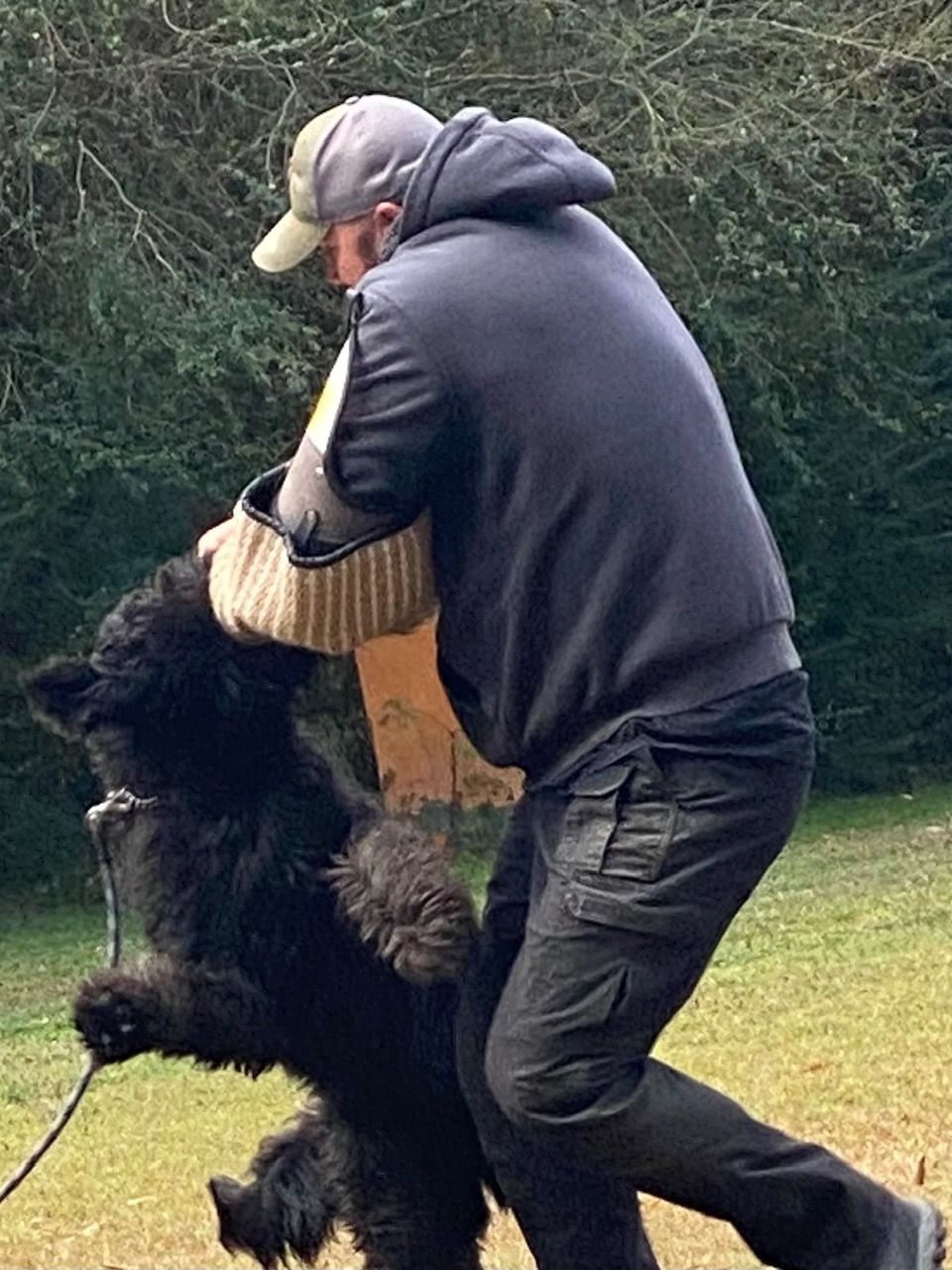 A man is playing with a black dog in a field.