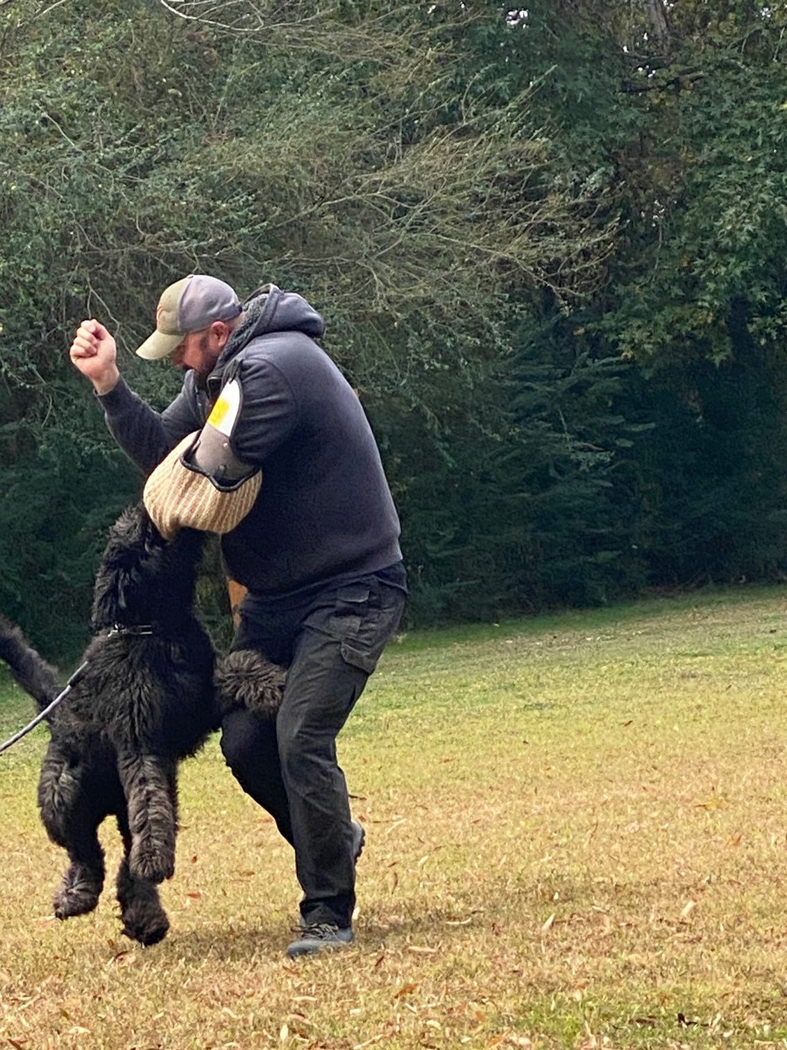 A man is playing with a dog in a field.